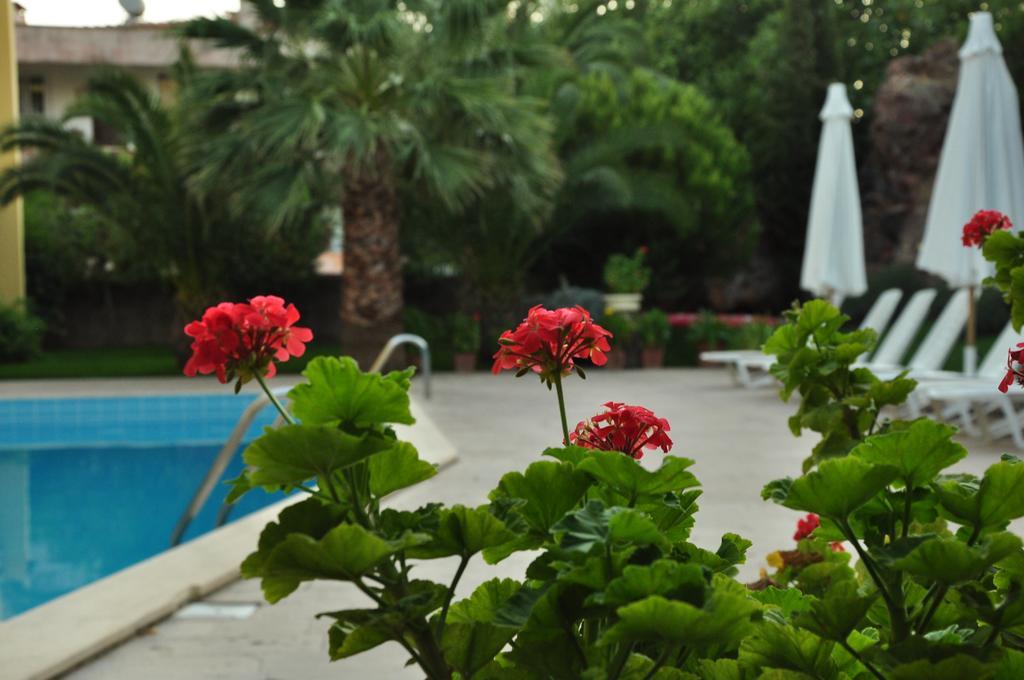 ปาล์ม คอร์ต สวีท ไอย์วาลิก Bed & Breakfast ไอวาลิค ภายนอก รูปภาพ